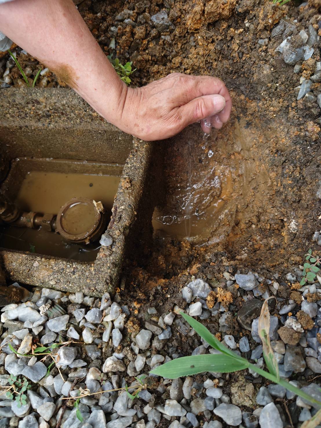 �Ƃ̏C�� �����