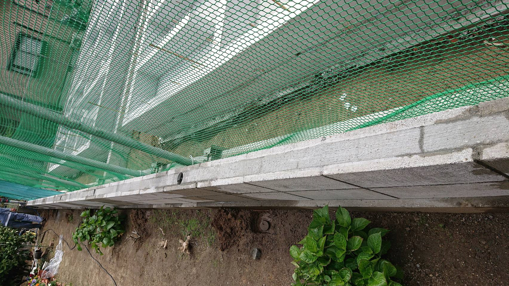 �Ƃ̏C�� ���O